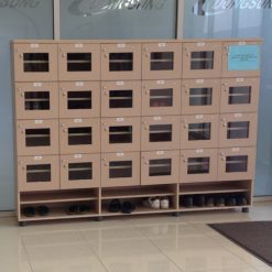 Tủ để giày 24 ngăn VNTDG09