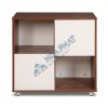Tủ tài liệu LUX850-2T1