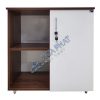 Tủ tài liệu LUX850-2T2
