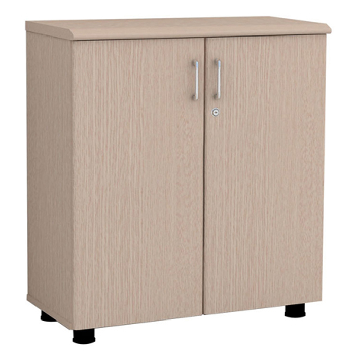 tủ tài liệu thấp nt880d