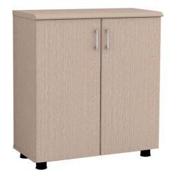 Tủ tài liệu thấp NT880D